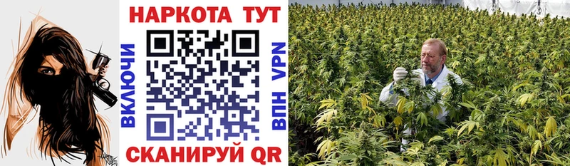 Виды наркотиков купить Зерноград Канабис  ГАШ 