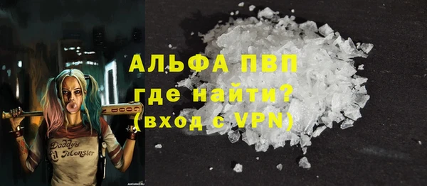 индика Алексин