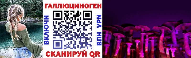 Псилоцибиновые грибы мицелий  omg как войти  Зерноград 